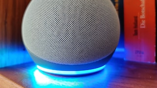 Kugeliger Amazon Echo Dot mit Alexa-Sprachsteuerung