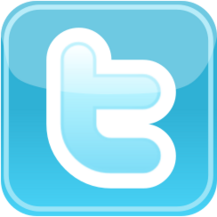 Twitter-Icon 2006