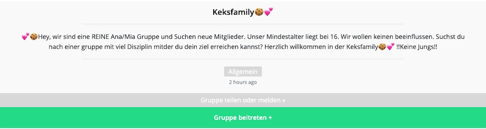 Klingt nach einer knuffigen Gruppe für Mädchen