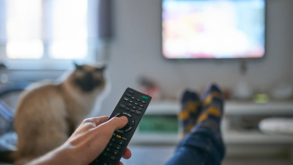 Mann mit Katze und Fernbedienung vor TV