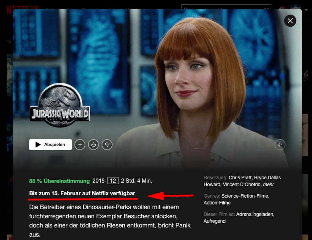 Netflix setzt ab
