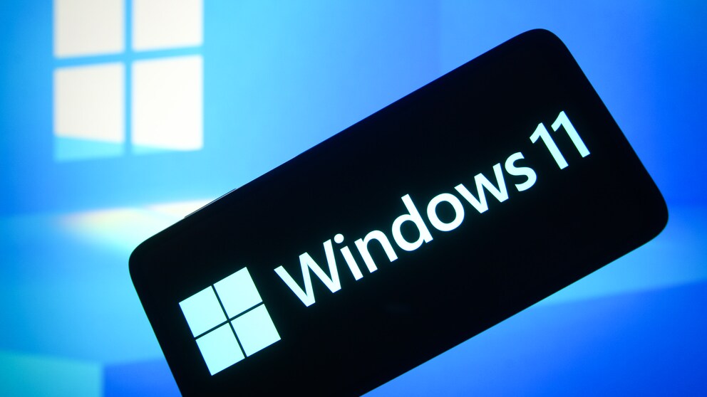 windows 11