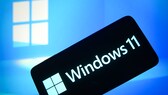 windows 11