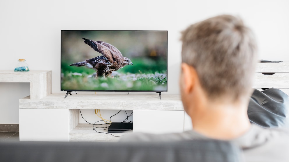 Mann schaut Fernsehen: Symbolbild Hertz Bildschirm