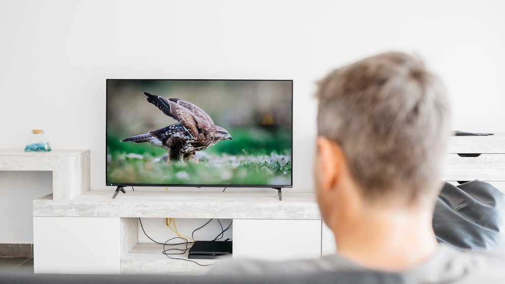 Mann schaut Fernsehen: Symbolbild Hertz Bildschirm
