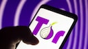 Das Logo des Tor-Browsers ist eine Zwiebel