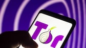 Das Logo des Tor-Browsers ist eine Zwiebel