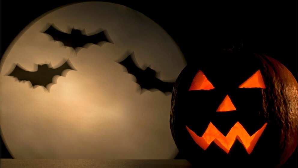 Halloween Tv Symbolbild: geschnitzter Halloween-Kürbis mit Fledermäusen