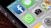 WhatsApp Logo auf Smartphone: Avatar