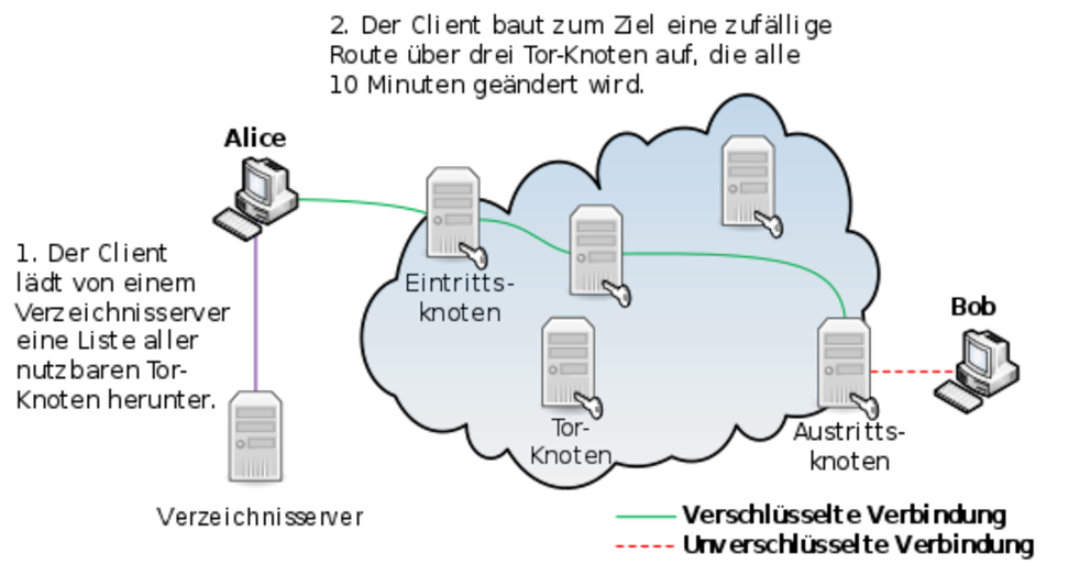 Tor-Browser, Darstellung des Tor-Netzwerkes zur Anonymisierung