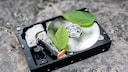 Vor allem bei mechanischen Laufwerken wie der traditionellen Festplatte (HDD) ist die Lebensdauer ein Qualitätsmerkmal