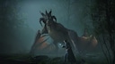 Hogwarts Legacy im Test: Screenshot Hogwarts Legacy Drache und Zauberer