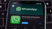 Meta bietet für seinen Messenger WhatsApp öffentliche Testversionen an