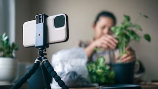 Smartphone-Stativ im Vordergrund. Frau macht etwas mit Pflanze.