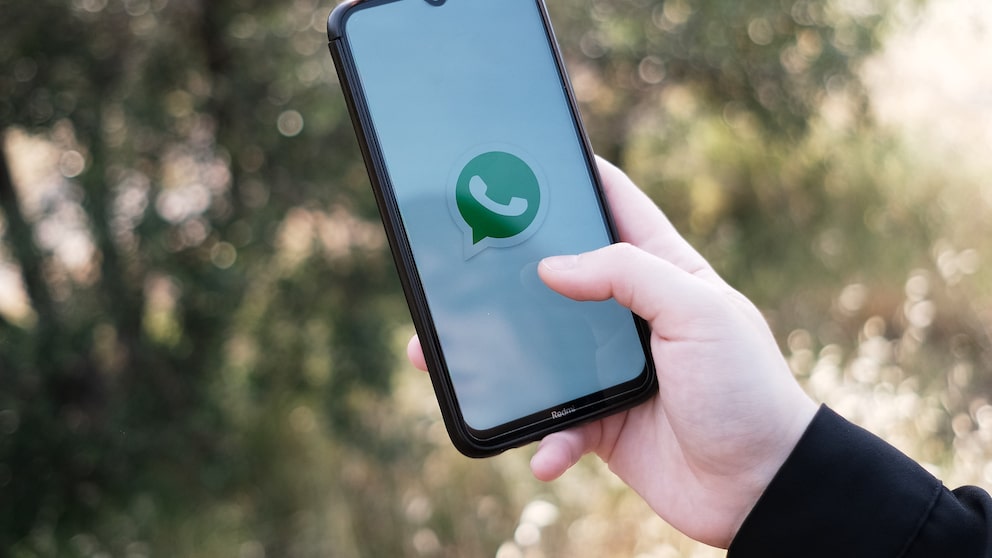 Symbolbild: Smartphone mit WhatsApp-Startbild vor natürlichem Hintergrund