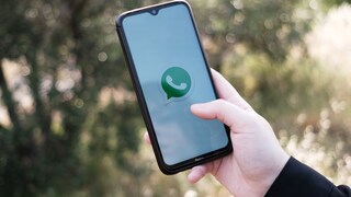 Symbolbild: Smartphone mit WhatsApp-Startbild vor natürlichem Hintergrund