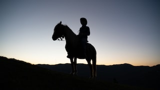 Dunkle Silhouette eines Cowboys auf Pferd vor Sonnenuntergang