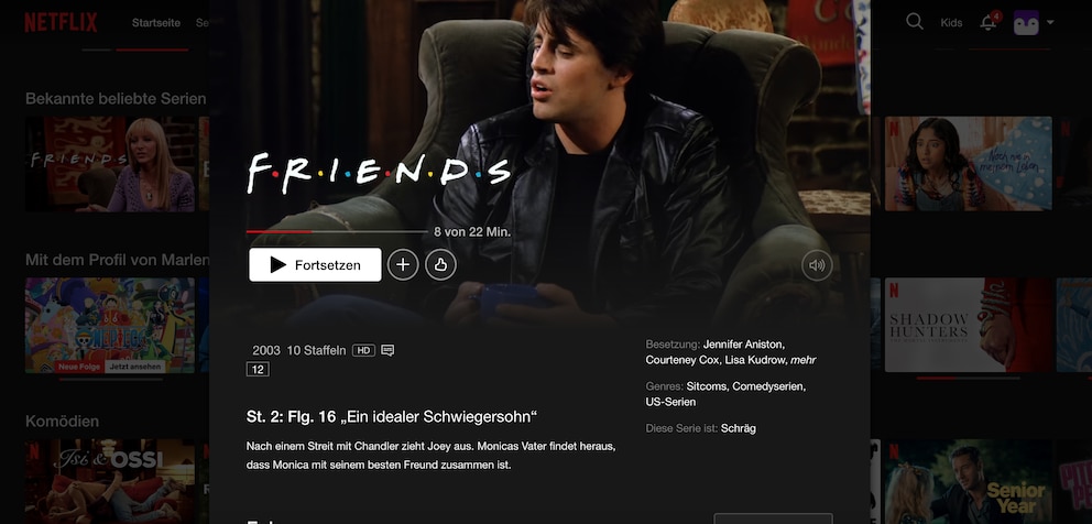 Netflix Friends
