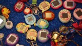 Zahlreiche Tamagotchis auf einem Tisch.