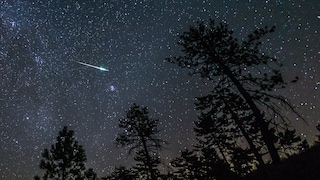 Perseiden im Cleveland National Forest, USA