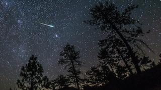 Perseiden im Cleveland National Forest, USA