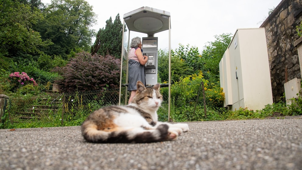 Eine Glückskatze im französischen Murbach – und im Hintergrund die letzte noch funktionierende Telefonzelle in Frankreich