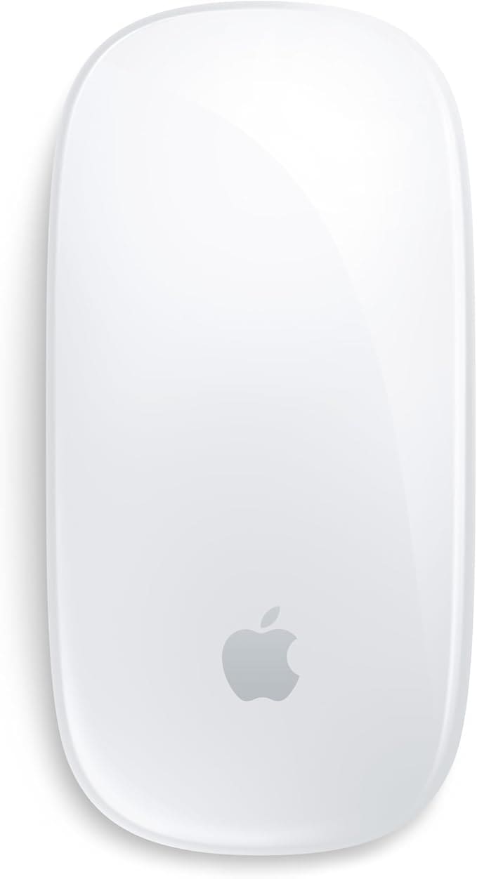 Apple Magic Mouse 