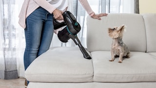 Frau staubsaugt, während Hund auf der Couch sitzt