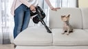 Frau staubsaugt, während Hund auf der Couch sitzt