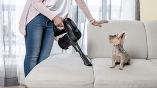 Frau staubsaugt, während Hund auf der Couch sitzt