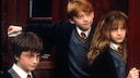 Ein Traum vieler Fans wird wahr: „Harry Potter“ kommt als Serie