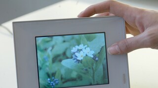 Vorsicht beim digitalen Bilderrahmen – manche sind unsicher