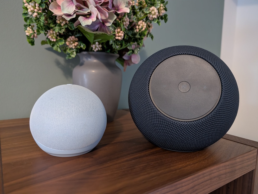 Im Vergleich zum regul&auml;ren Echo Dot ist der Sudio deutlich gr&ouml;&szlig;er
