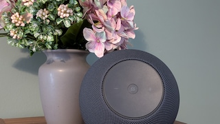 Der Echo Studio (2025) im Test