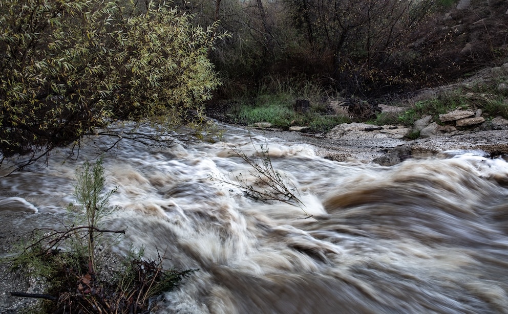 Der Adobe Creek gab einer Tech-Marke den Namen