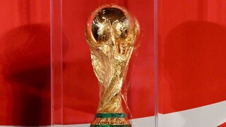 WM-Trophäe