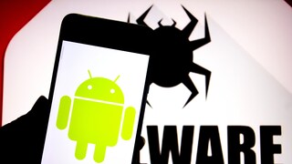 Smartphone mit Android Logo. Spinne im Hintergrund.