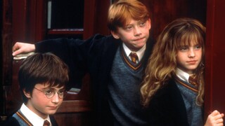 Harry, Ron und Hermine aus Harry Potter.