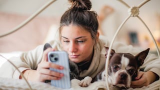 Frau sucht bei ihm Hund Zecken mit dem Smartphone