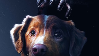 Artwork zu „Good Boy“