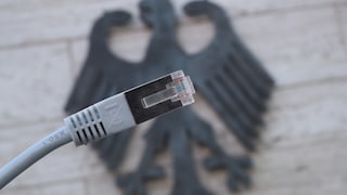 Lan-Kabel vor dem Deutschland Adler.