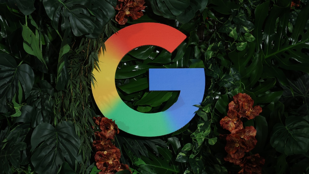 Google-Logo in den Farben Rot, Gelb, Grün und Blau vor einer Wand aus großen grünen Blättern und mehreren rotbraunen Blüten. Das Logo befindet sich mittig im Bild und ist von dichtem Pflanzenbewuchs umgeben. Die Aufnahme zeigt das Logo vor dunklem Hintergrund mit starkem Kontrast zwischen den Farben des Logos und dem Grün der Pflanzen.