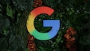 Google-Logo in den Farben Rot, Gelb, Gr&uuml;n und Blau vor einer Wand aus gro&szlig;en gr&uuml;nen Bl&auml;ttern und mehreren rotbraunen Bl&uuml;ten. Das Logo befindet sich mittig im Bild und ist von dichtem Pflanzenbewuchs umgeben. Die Aufnahme zeigt das Logo vor dunklem Hintergrund mit starkem Kontrast zwischen den Farben des Logos und dem Gr&uuml;n der Pflanzen.