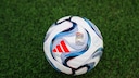 Der offizielle Fu&szlig;ball auf gr&uuml;nem Rasen