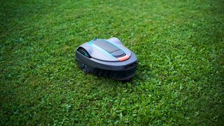 Ein grauer Mähroboter mit türkisfarbenen Details fährt über eine dicht bewachsene grüne Rasenfläche