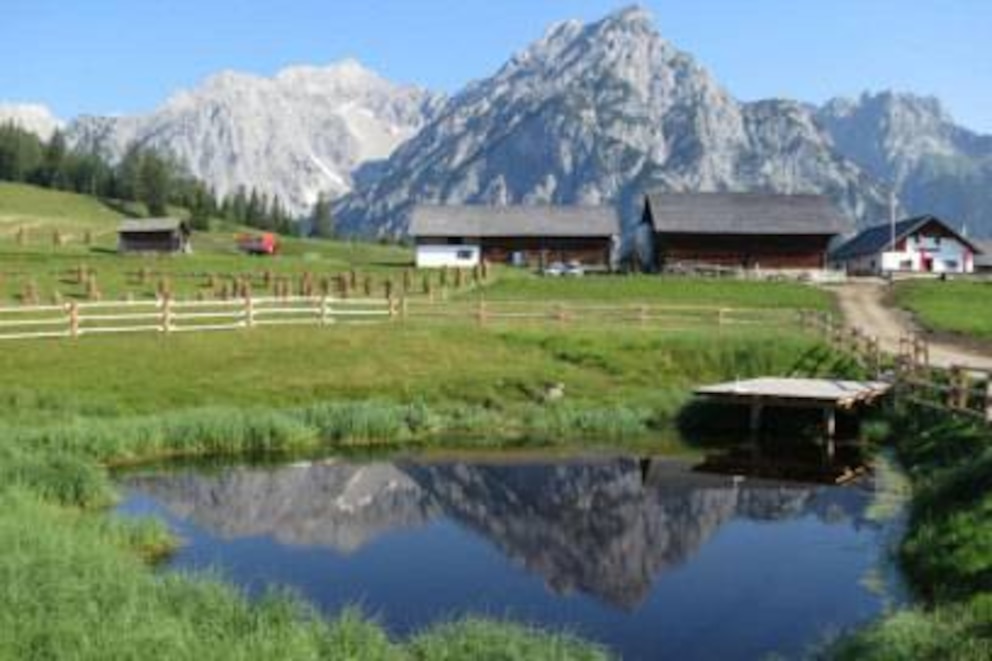 Beste Aussichten: Wer im Urlaub gerne in freier Natur arbeiten möchte, findet in Tirol zahlreiche Volunteering-Projekte inmitten schönster Alpenlandschaft