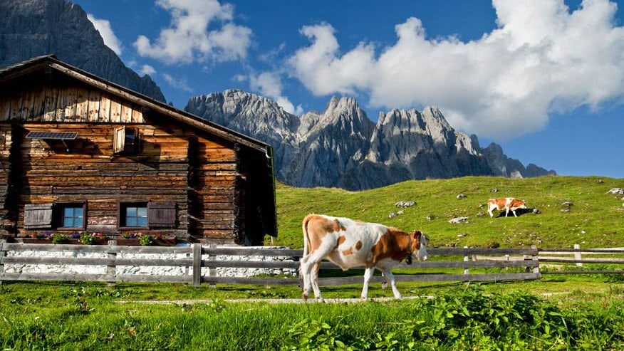In der Berg-Idylle Österreichs lässt es sich prima entspannen – aber auch auch arbeiten. Beim Wwoofing gehört beides zusammen