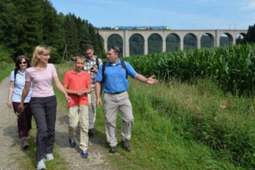 Der Paderborner Höhenweg führt auch am 230 Meter langen Kleine Viadukt vorbei. Seine 11 Bögen überspannen das Tal der Dune in 33 Metern Höhe. Es wurde 1851-53 als Teil der Eisenbahnstrecke Paderborn-Kassel erbaut.