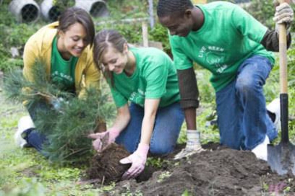 Es muss nicht immer ein Sprachkurs sein: Auch in Volunteering-Projekten kann man seine Sprachkenntnisse anwenden und erweitern