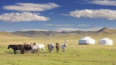 Jurten, Pferde – und viel Platz: Die Mongolei ist das am dünnsten besiedelte Land der Welt